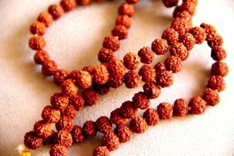 Rudraksha